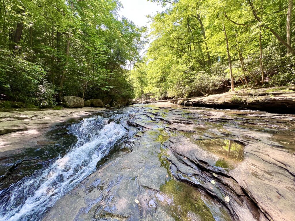 Ohiopyle State Park Meadow Run