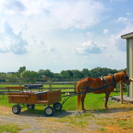 Nookside Pony Wagon