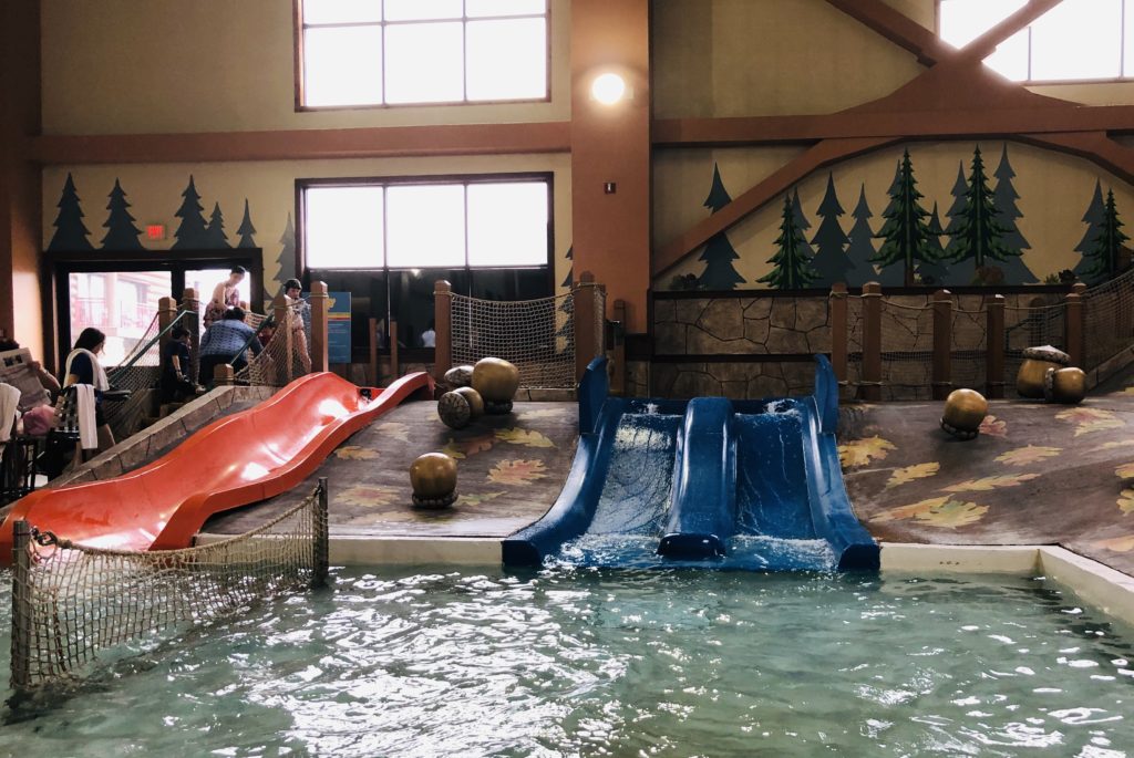 Great Wolf Lodge Kids Slides