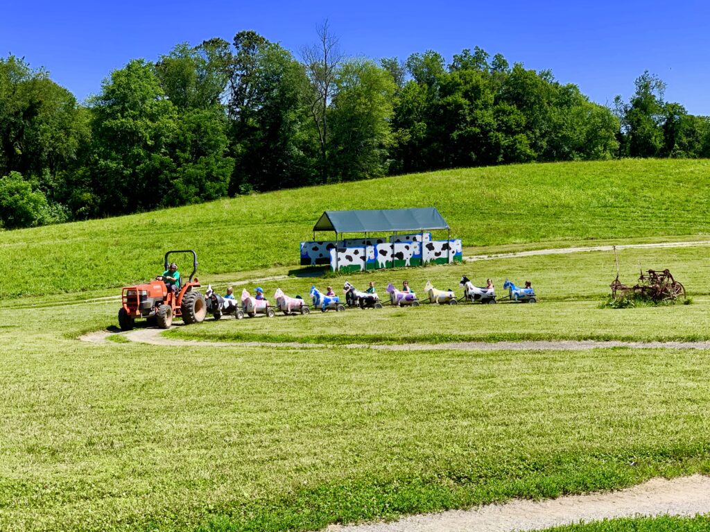 Clark Elioak Farm Cow Train