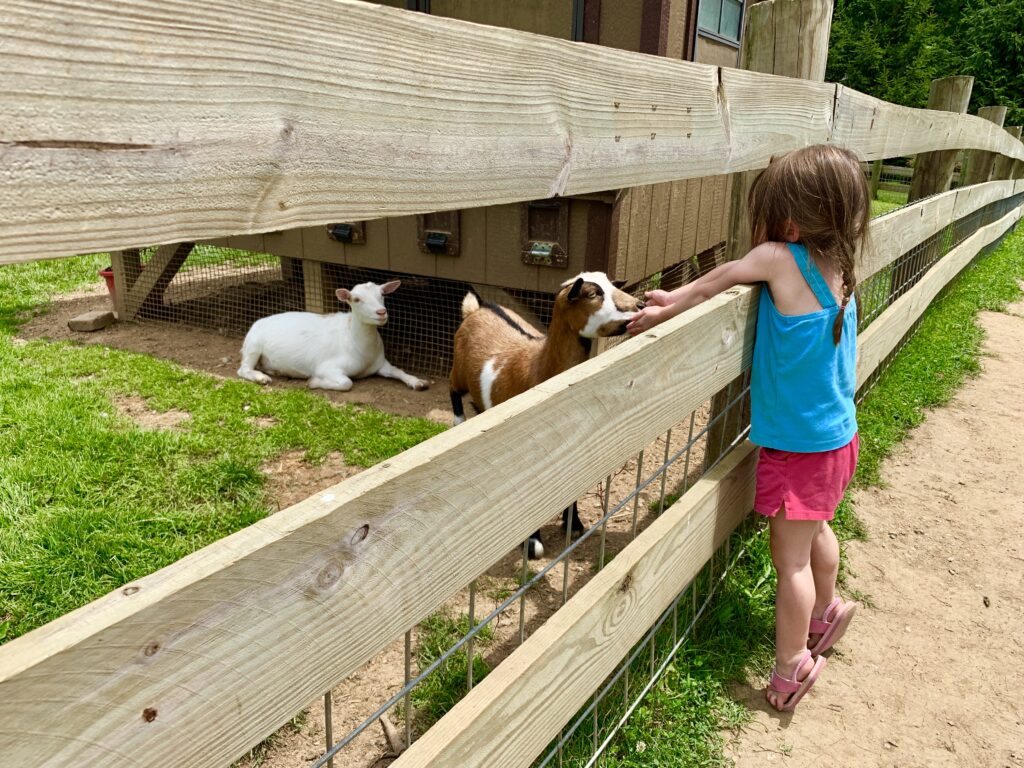 Indian Eco Caverns Petting Zoo