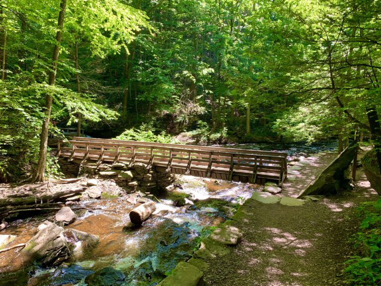 Ricketts Glen State Park - Benton, PA - Been There Done That with Kids