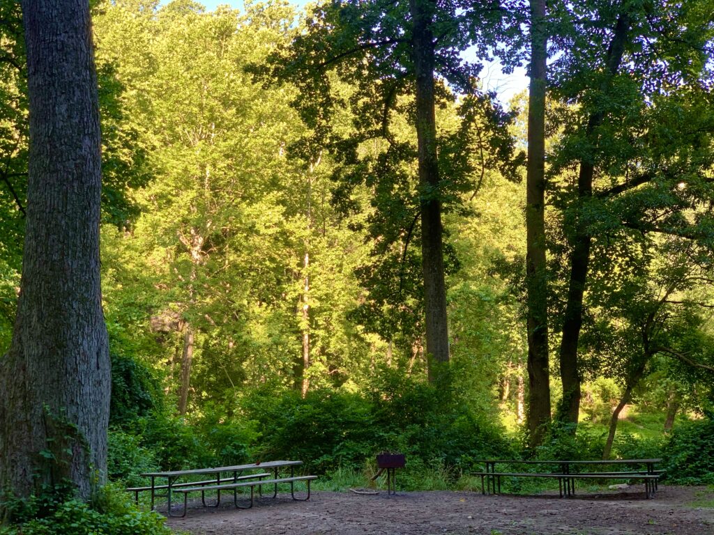 One of Many Picnic Areas at Patapsco Valley State Park