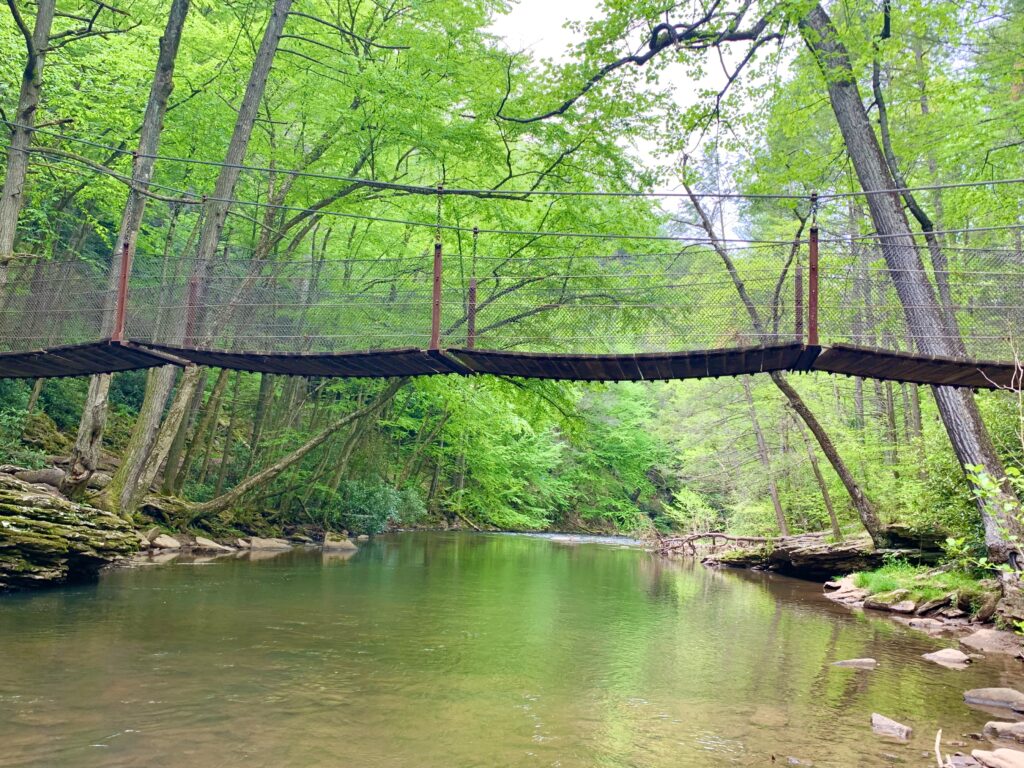 Trough Creek State Park Swinging Bridge