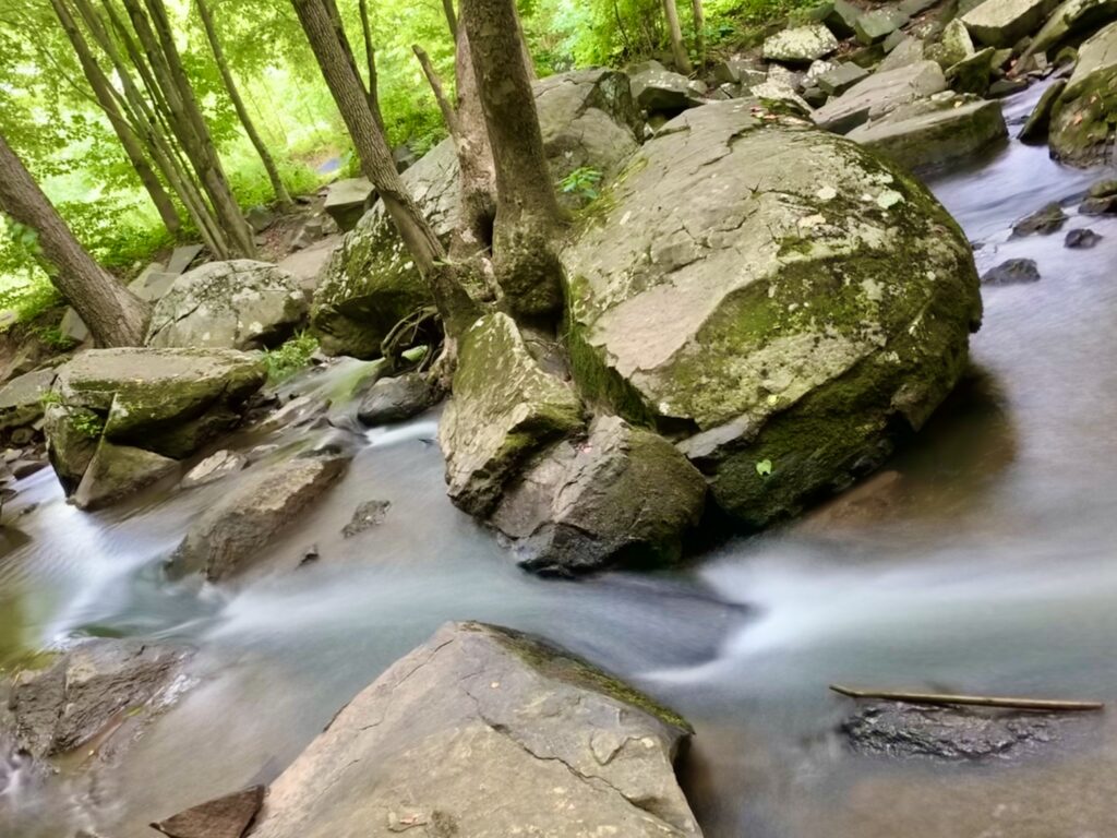 Small cascades along French Creek