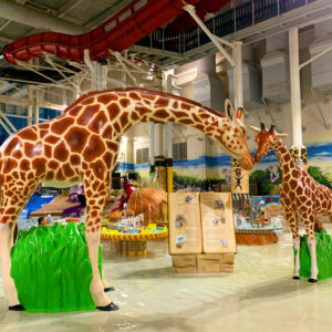 Kalahari-Kiddie-Area