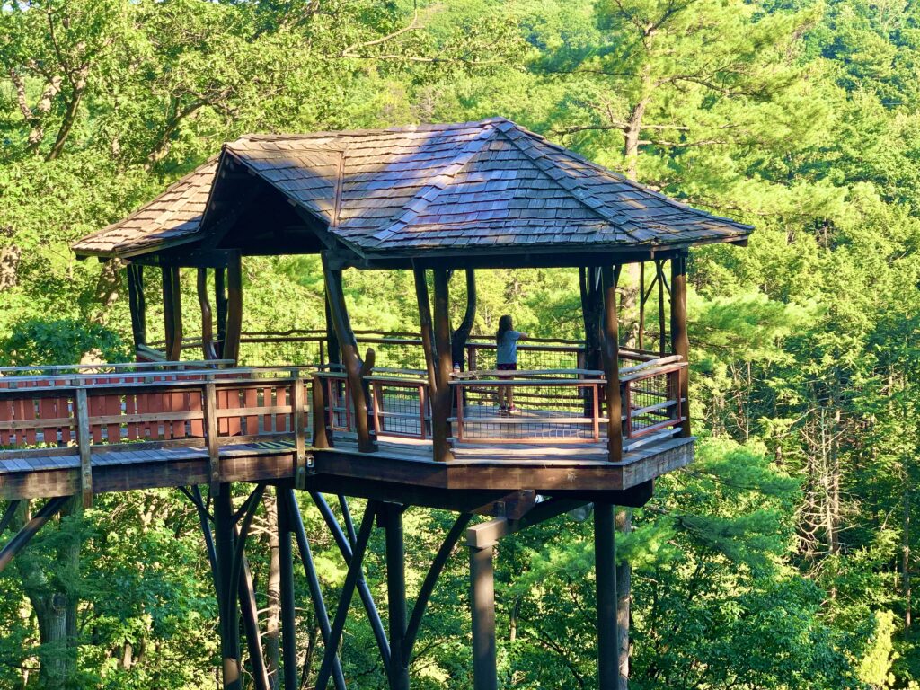 Nay Aug Tree House