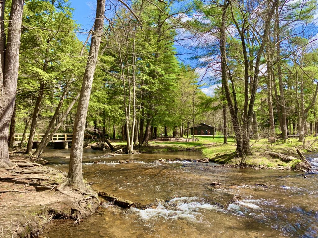 Caledonia-State-Park-Creek