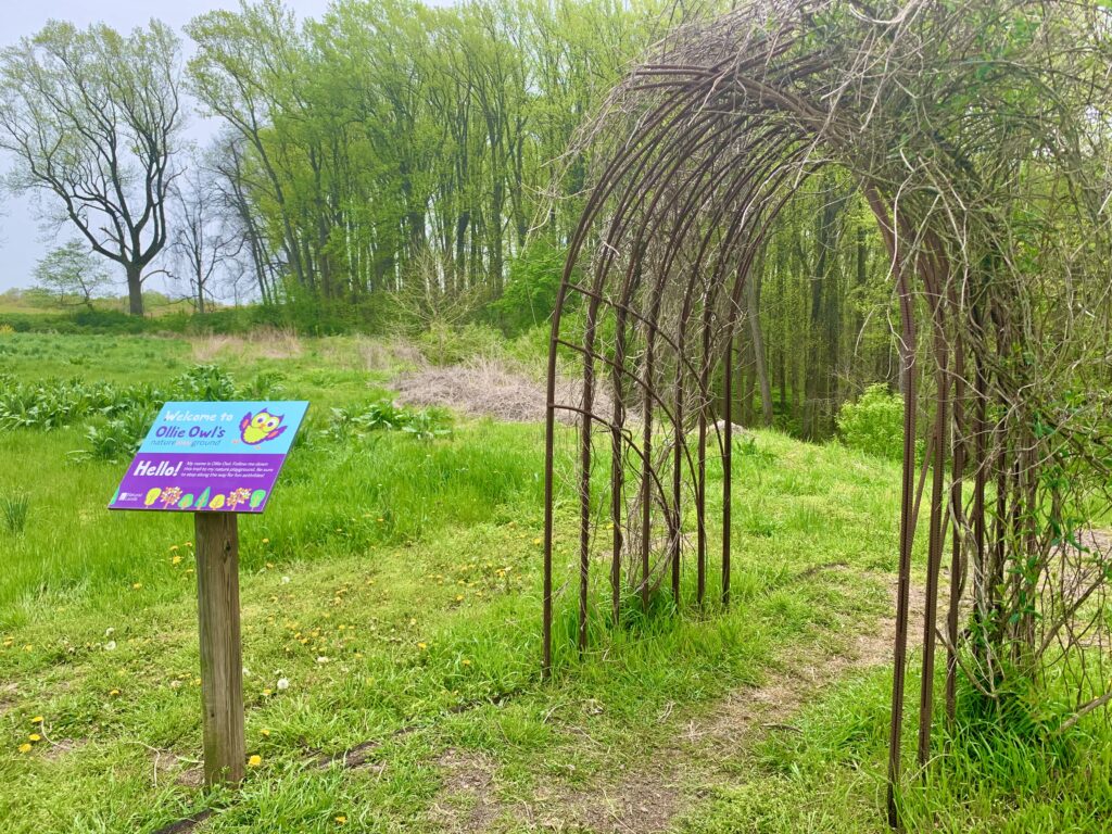 Entrance to the path to Ollie Owl's Nature Playground