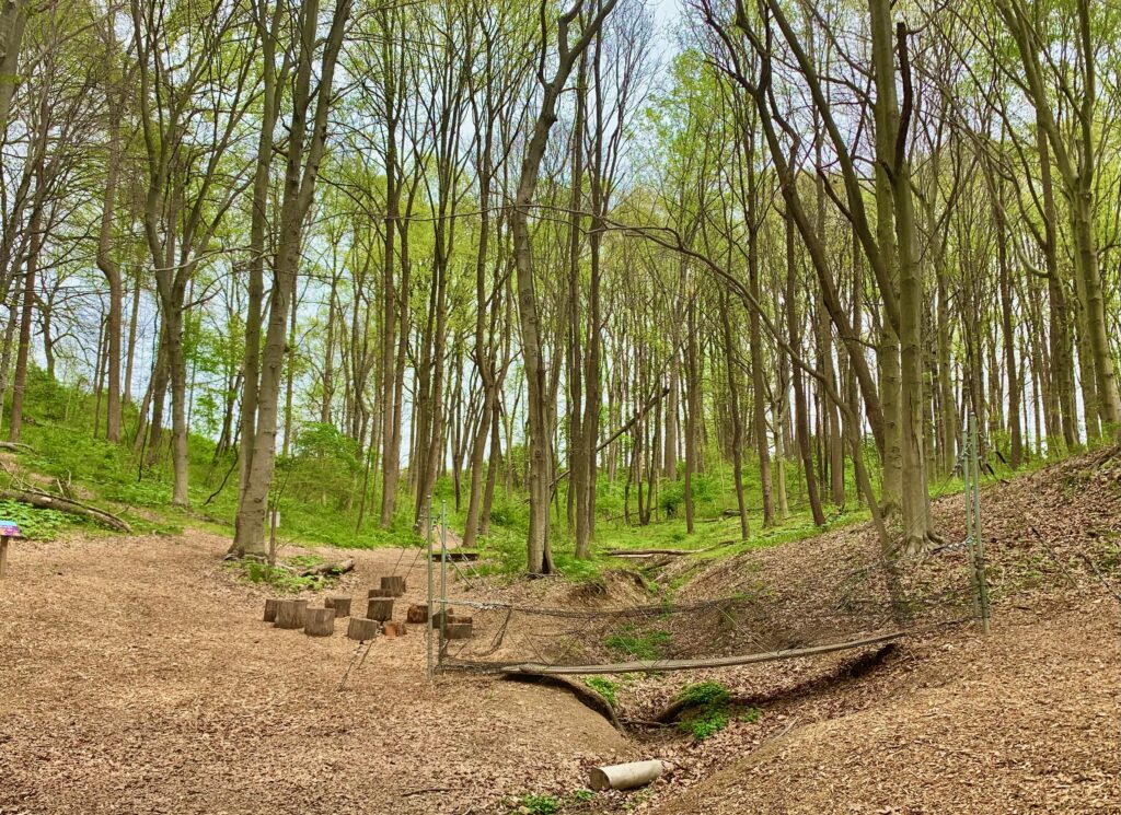 Ollie Owl's Nature Playground