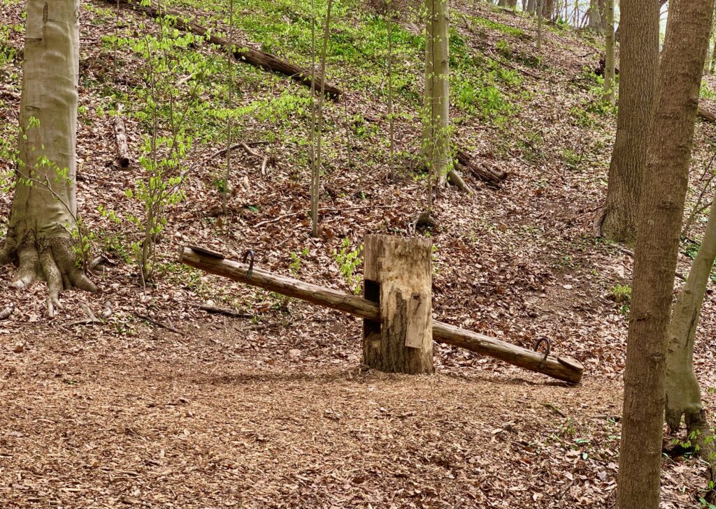 See Saw at Ollie Owl's Nature Playground