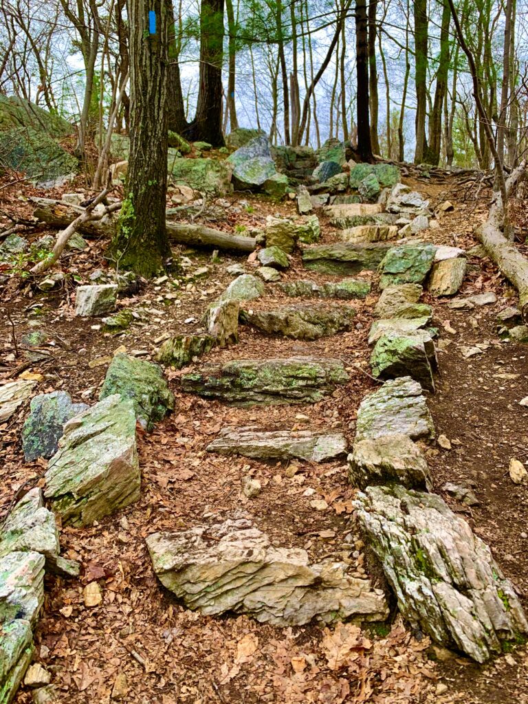 Rock Stairs on Pole Steeple Trail