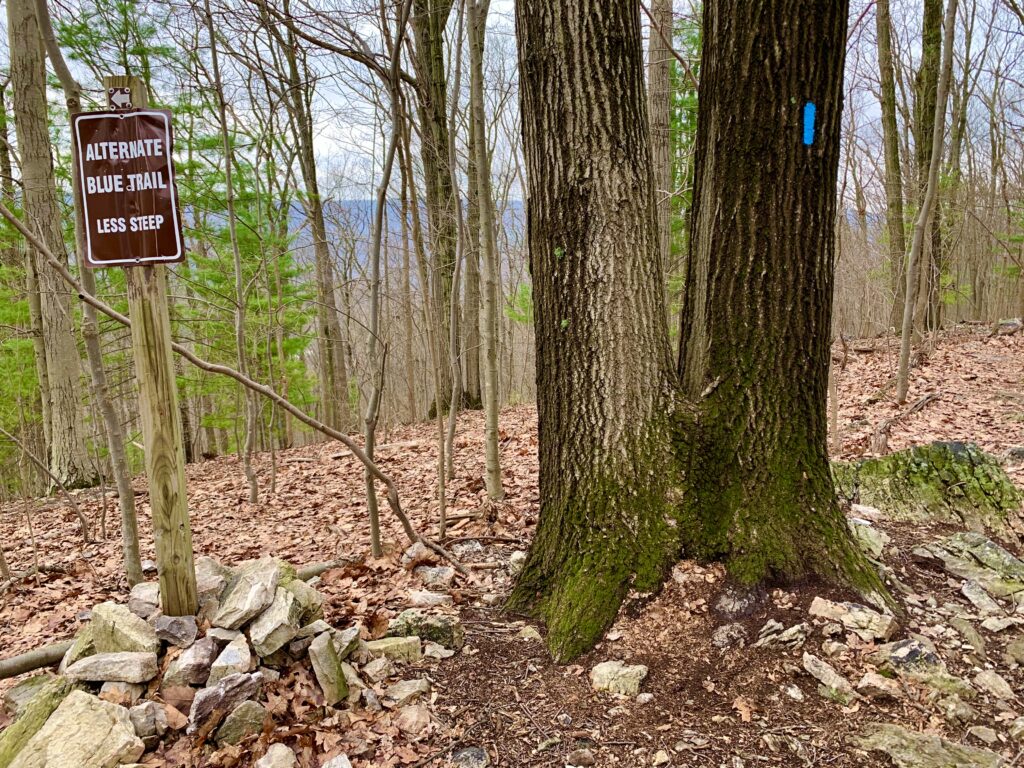 Alternative Routes on Pole Steeple Trail