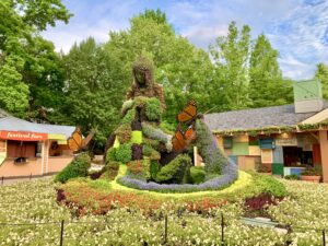 Dollywood Flowers