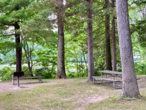 Laurel Lake Picnic Tables