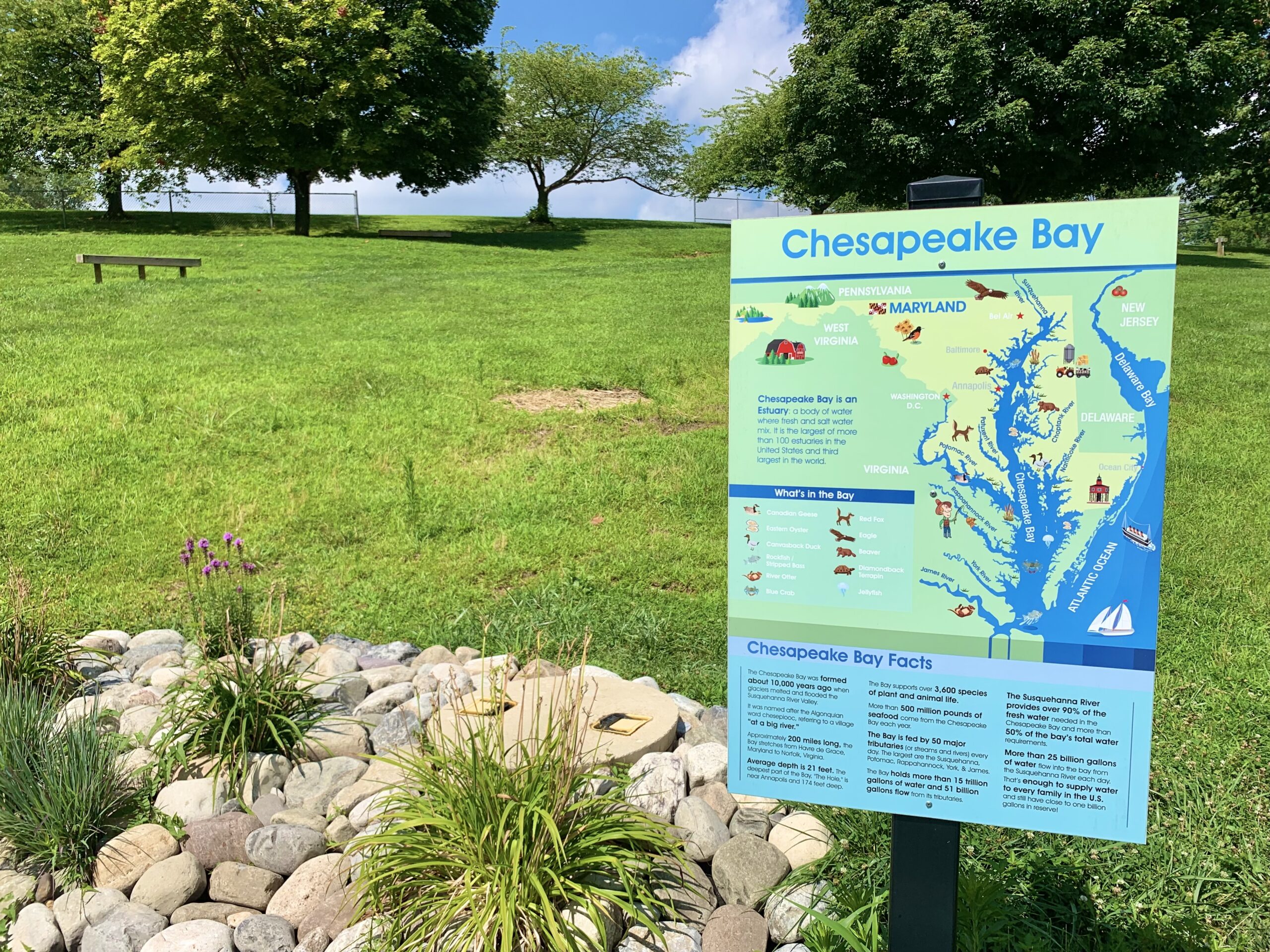 chesapeake-bay-facts-been-there-done-that-with-kids