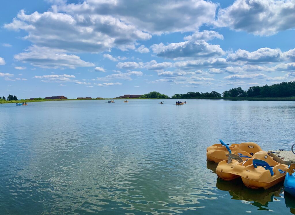 Seven Springs Paddleboats