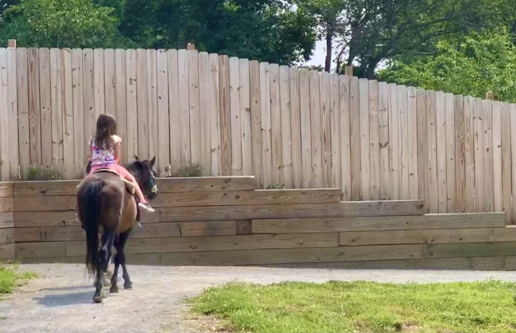 Leesburg Animal Park Pony Ride