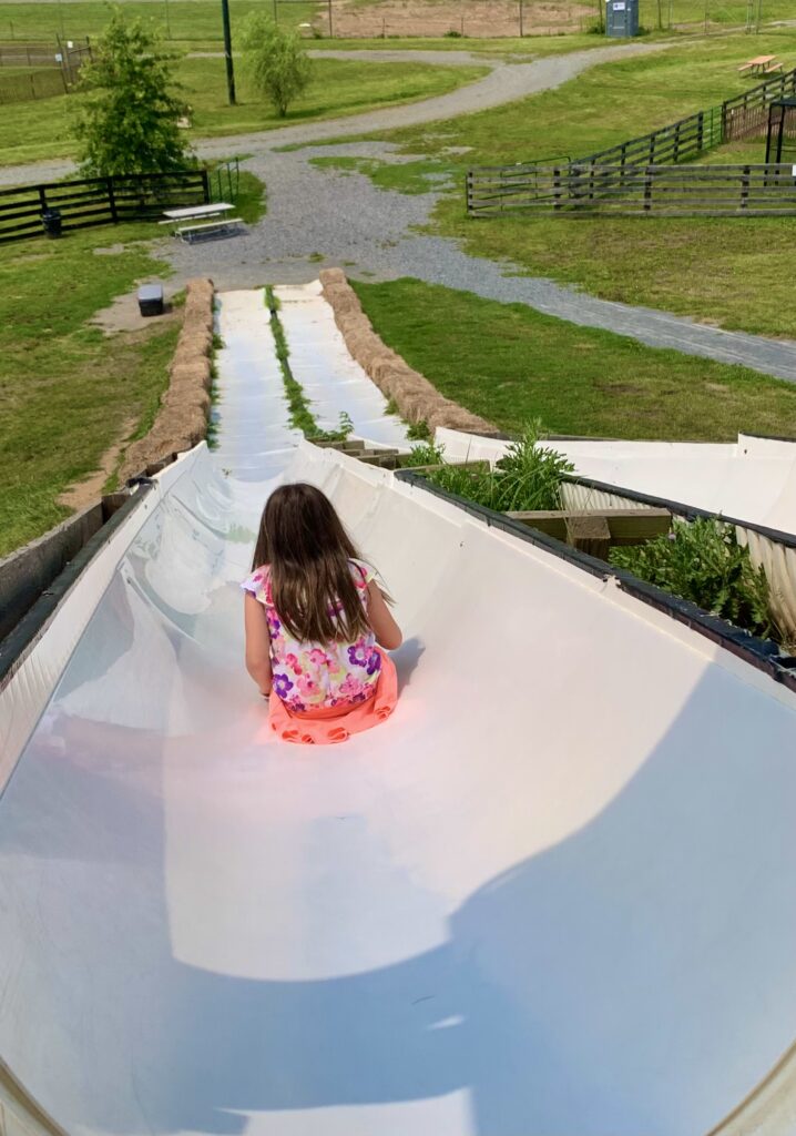 Leesburg Animal Park Slide