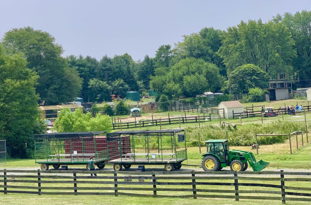 Leesburg Animal Park Wagon