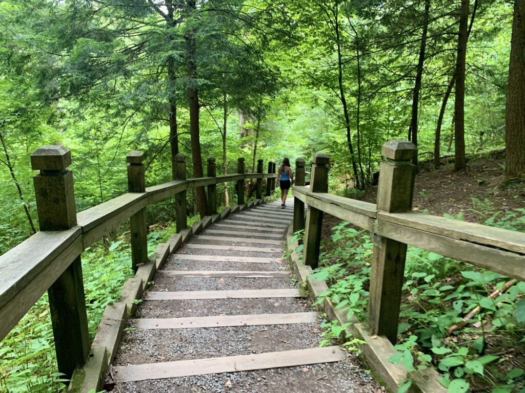 Swallow Falls Canyon Trail Steps