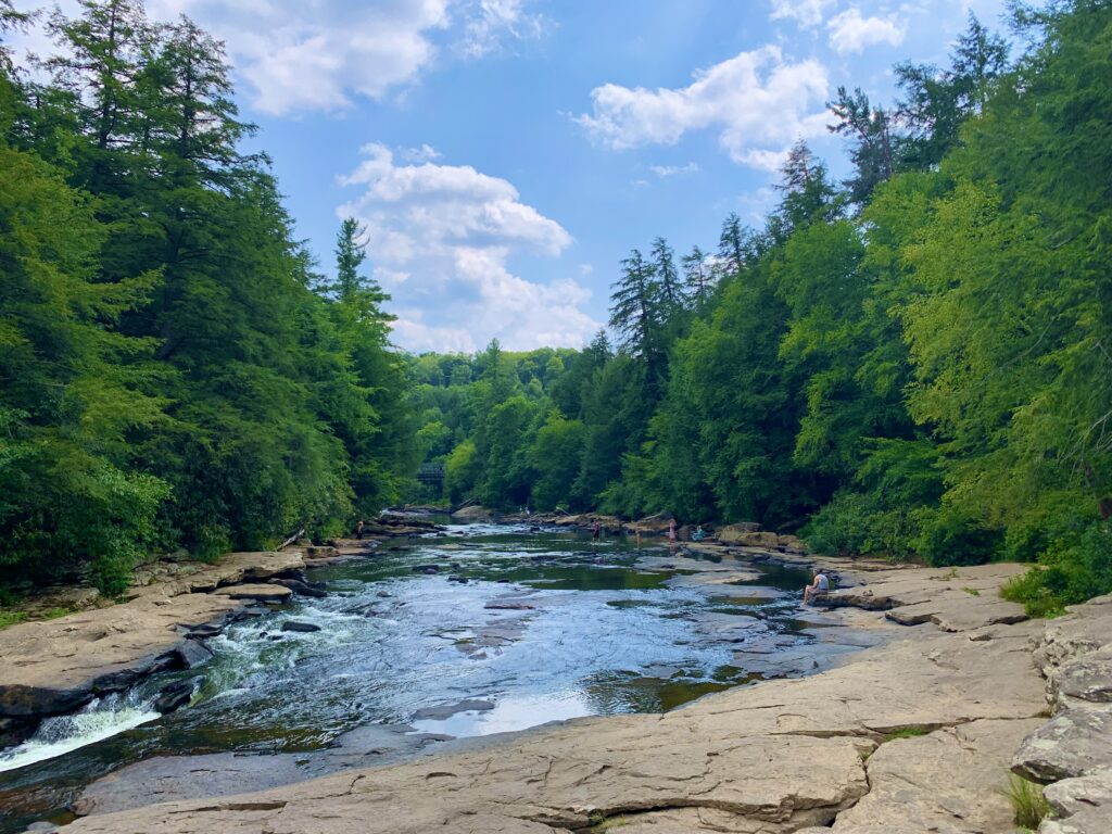 Upstream View from Shallow Falls