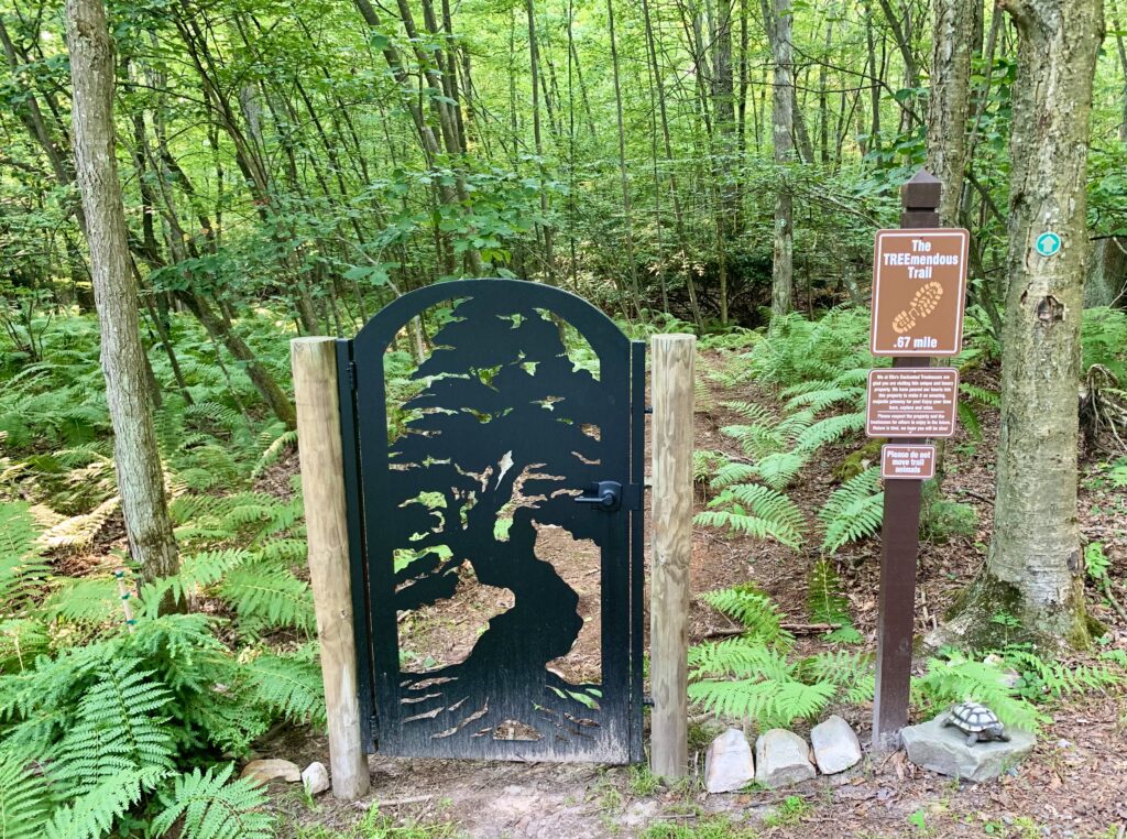 Ellas Trail Entrance