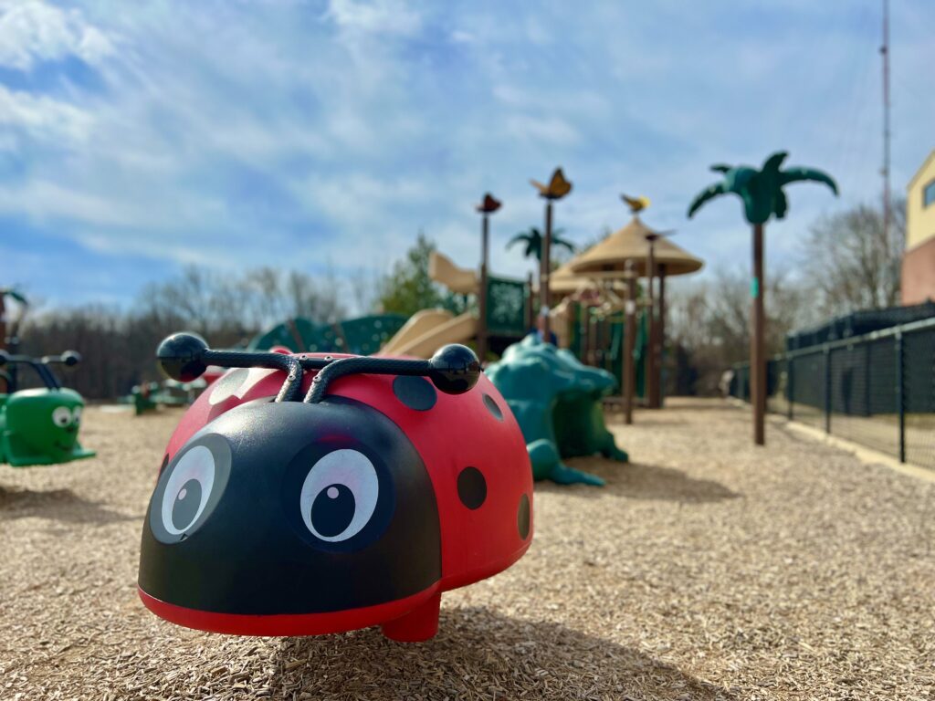 Sweet Air Ladybug