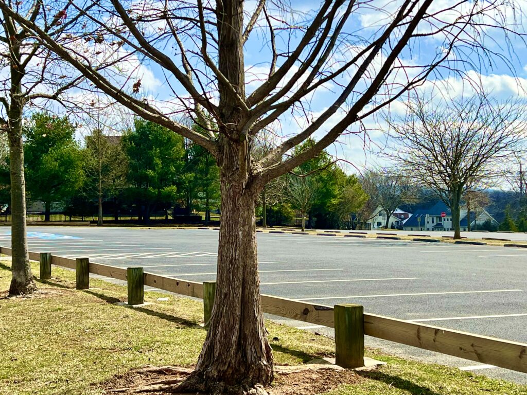 Friendship Park Parking Lot