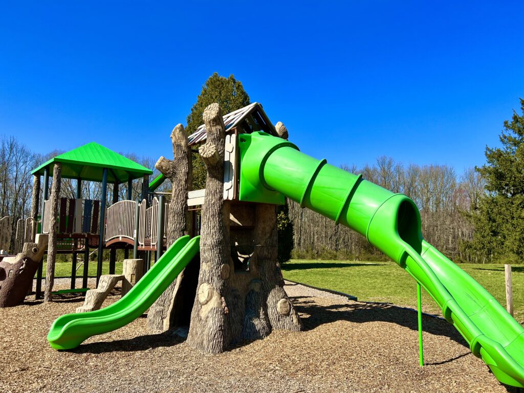 Brantwood Park Slides