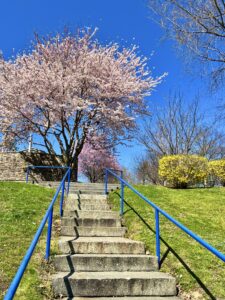 Steps to Millard Tydings Memorial Park