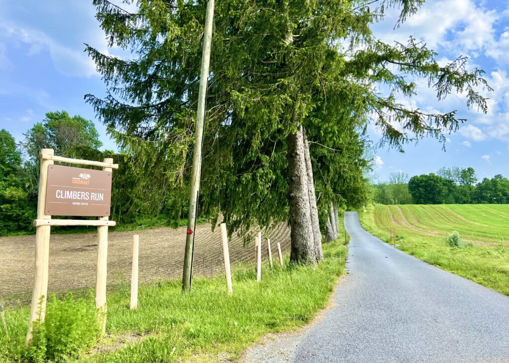 Climbers Run Entrance