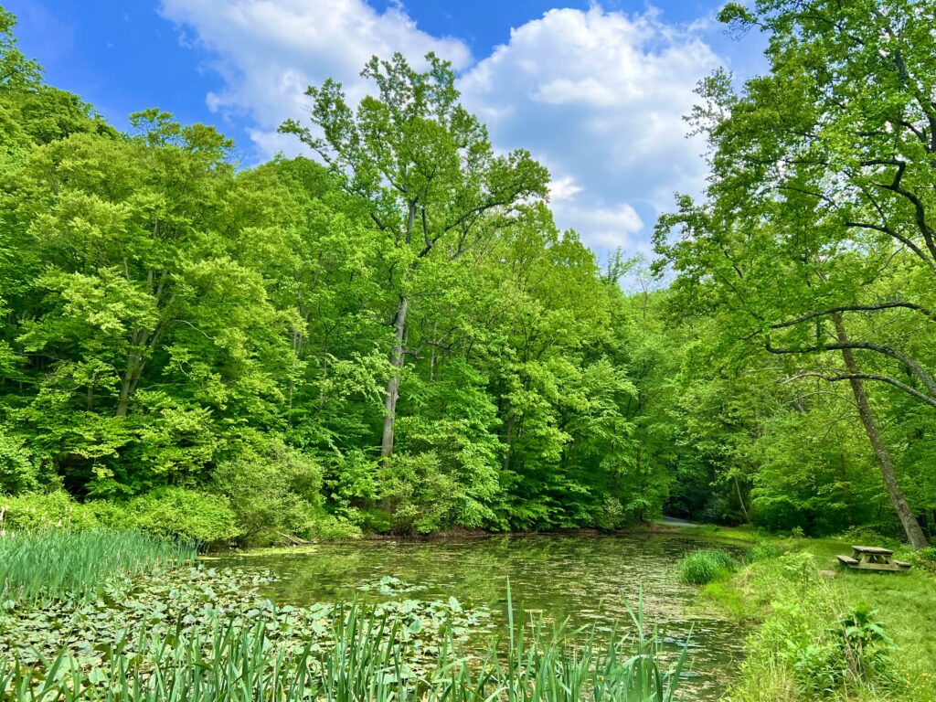 Climbers Run Pond