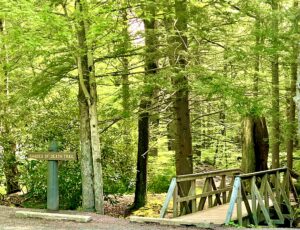 Shades of Death Trailhead