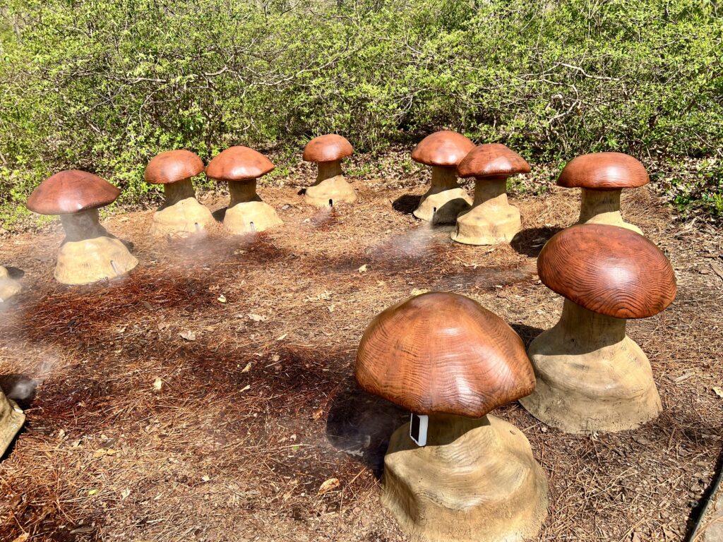 Winterthur Mushrooms