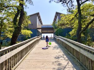 Cape Henlopen Entrance