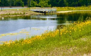 Hillside Park Pond