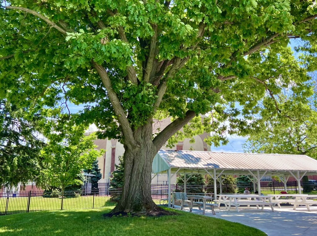 Lititz Springs Pool Pavilion