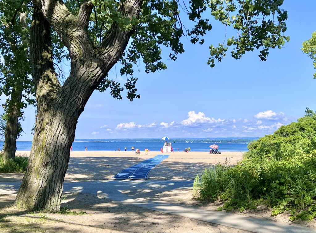 are dogs allowed on presque isle beaches