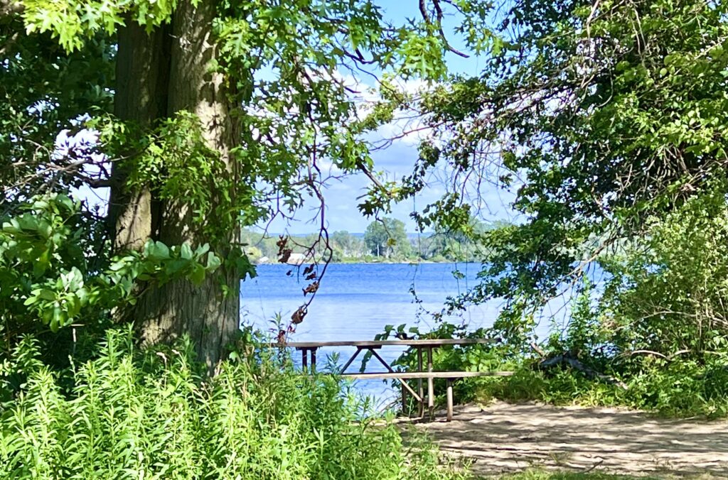 Lake Erie Picnic