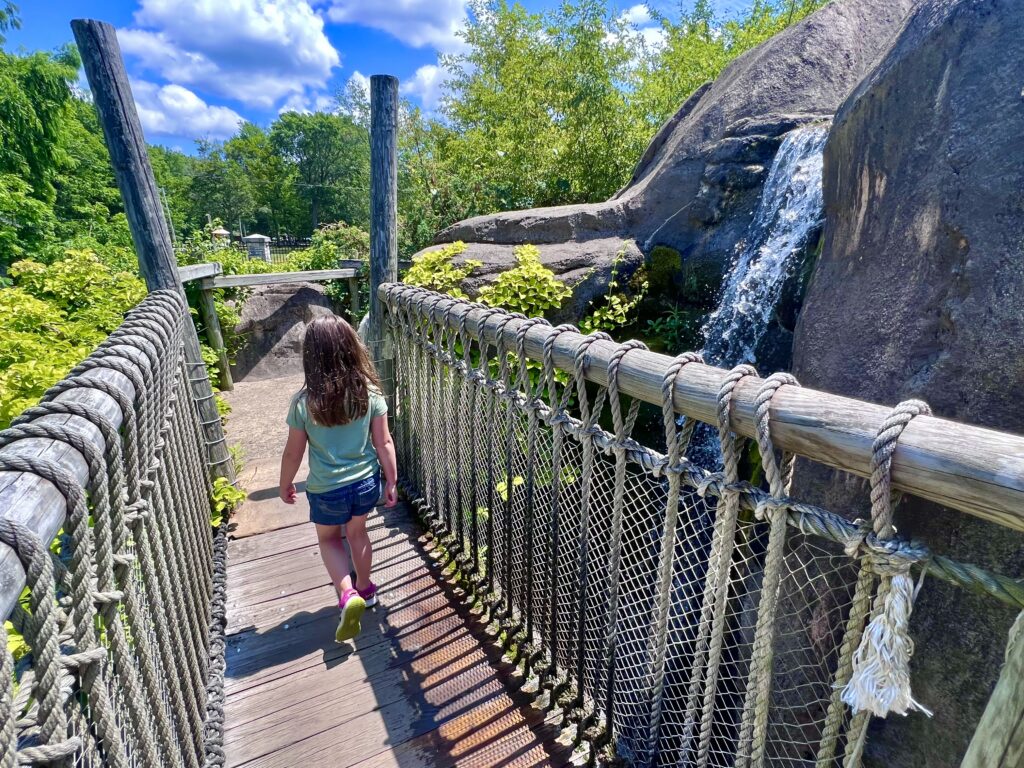 Erie Zoo Waterfall