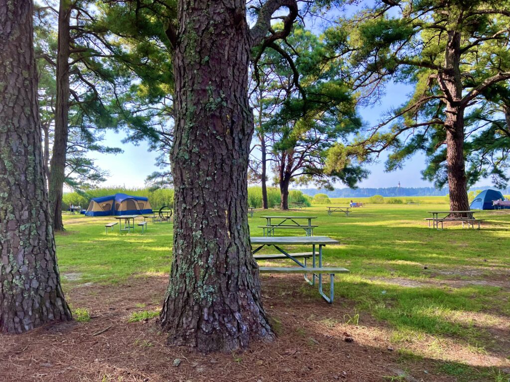 Jellystone Chincoteague Tent Camping