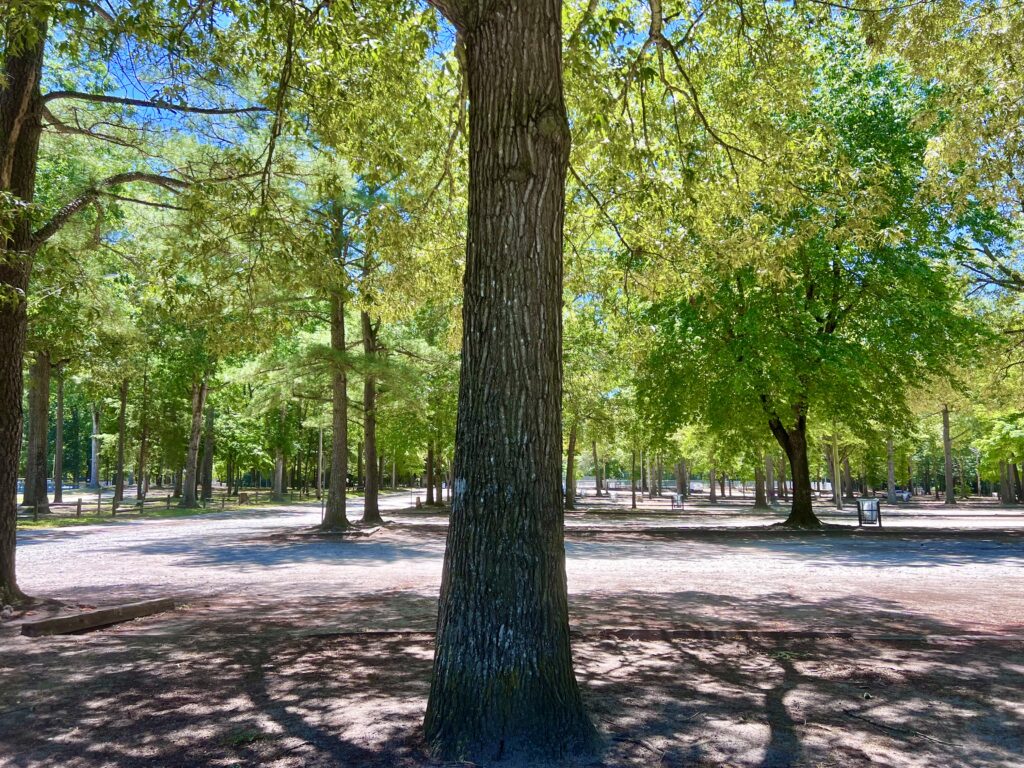 Harry S. Parker Athletic Complex Parking Lot