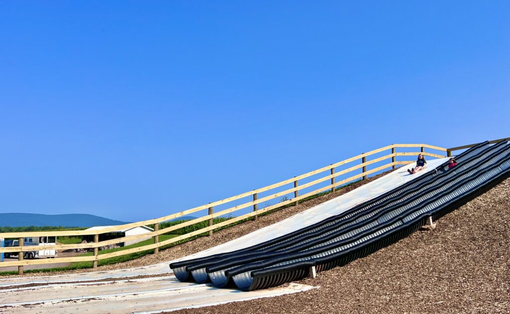 Magnolia Meadows Slides