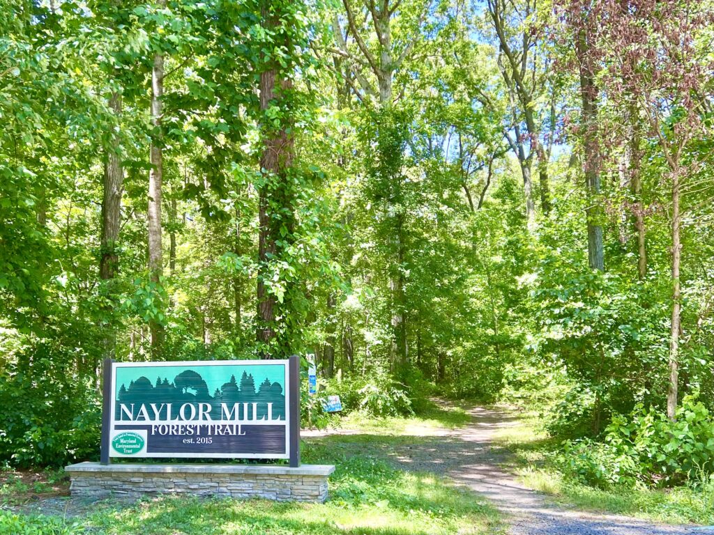 Naylor Mill Forest Trail