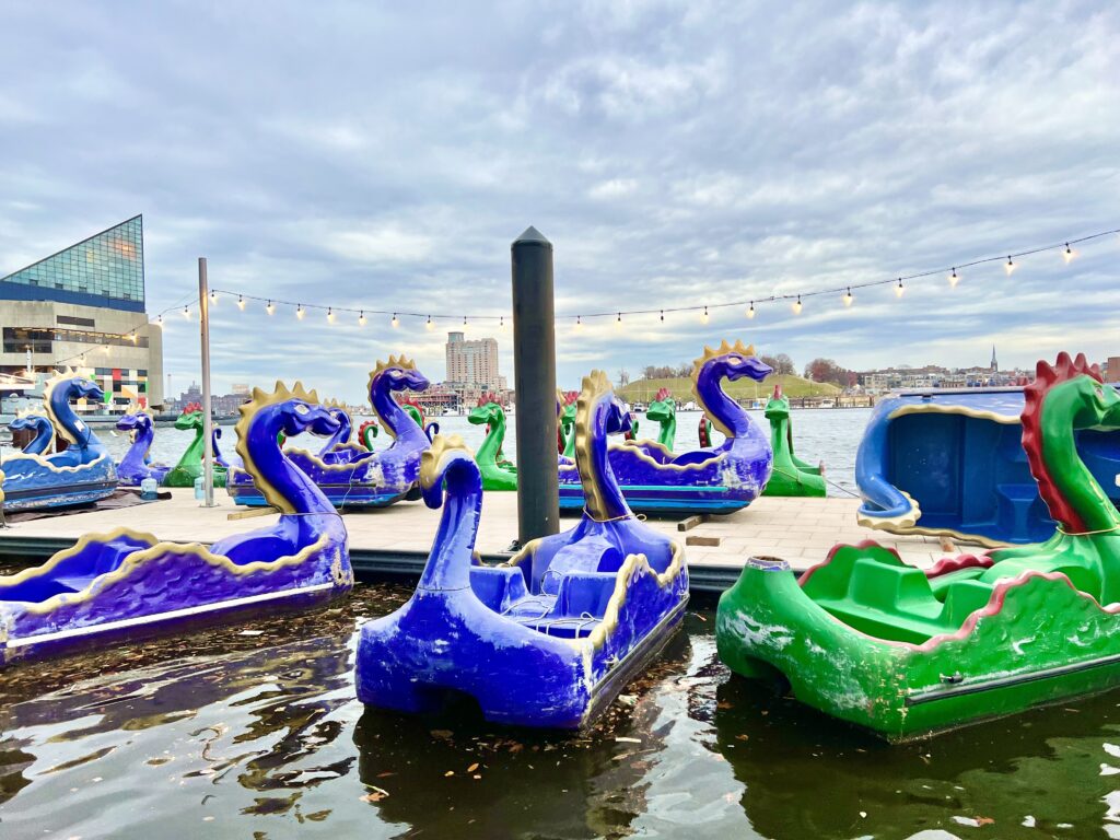 Inner-Harbor-Paddle-Boats