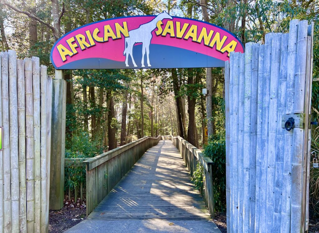 Cape May Zoo Savanna