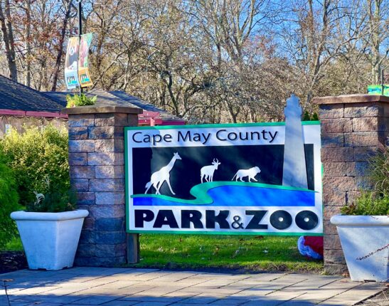 Cape May Zoo Sign
