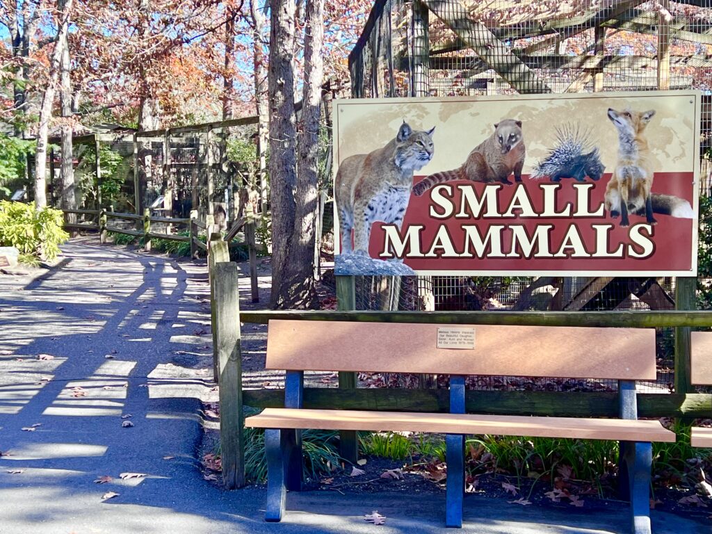 Cape may Zoo Small Mammals - Been There Done That with Kids