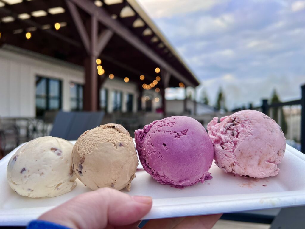 Ice Cream Sampler